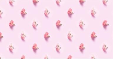 fiori di garofano con minimalista foto