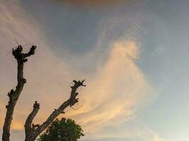 bellissimo cielo quando sole salire e tramonto con albero e Torre silhouette. il foto è adatto per uso per cielo sfondo e Alba manifesto.