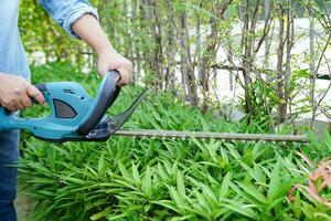 giardiniere Rifinitura cespuglio di elettrico siepe clippers nel giardino. passatempo a casa. foto