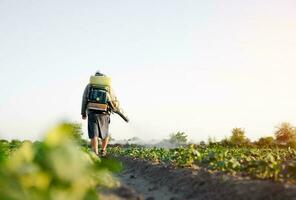 contadino spray pesticidi su piantagione. agricoltura e agro industria. uso di sostanze chimiche per protezione di impianti a partire dal insetti e fungine infezioni. azienda agricola opera su campo. pesticidi e fungicidi. foto