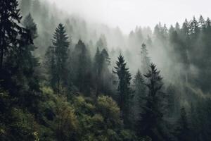 ai generato vicino Visualizza di un' montagna foresta con alto alberi mistico e nebbia truce sfondo foto