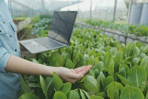 asiatico donna contadino utilizzando digitale tavoletta nel verdura giardino a serra, attività commerciale agricoltura tecnologia concetto, qualità inteligente contadino. foto