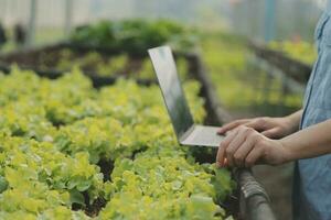 asiatico donna contadino utilizzando digitale tavoletta nel verdura giardino a serra, attività commerciale agricoltura tecnologia concetto, qualità inteligente contadino. foto