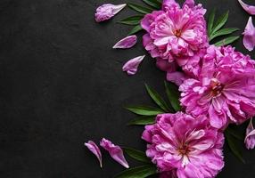 bordo di fiori di peonia su sfondo nero foto