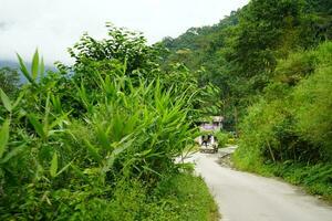 stretto strada di montagna a il villaggio di sikkim foto