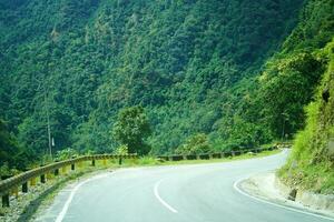 verdura accanto strada nel sikkim foto