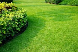 bellissimo verde prato nel il parco foto