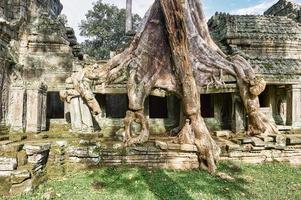 Tempio di preah kahn a siem reap, cambogia foto