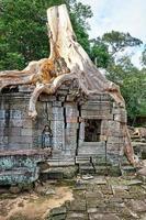 Tempio di preah kahn a siem reap, cambogia foto