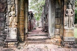 Tempio di ta prohm a siem reap, cambogia