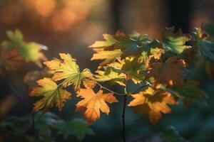 naturale autunno sfondo con d'oro giallo e arancia acero le foglie raggiante nel il sole su un' dolce sfocato leggero verde sfondo. ai generativo foto