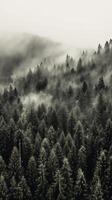 montagna foresta con nebbia e nebbia. ai generativo foto