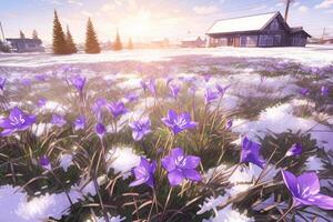 primavera paesaggio con primo fiori viola crochi su il neve nel natura nel il raggi di luce del sole. ai generativo foto