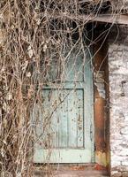 porta in legno vintage da vicino foto