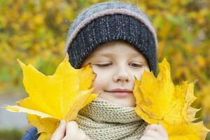 autunno umore. il ragazzo detiene giallo acero le foglie nel il suo mani. foto