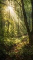 bellissimo raggi di luce del sole nel un' verde foresta. ai generativo foto