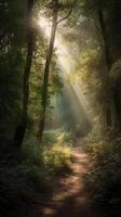 bellissimo raggi di luce del sole nel un' verde foresta. ai generativo foto