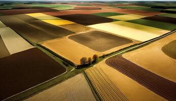 azienda agricola colorato i campi aereo Visualizza, superiore Visualizza. ai generato. foto