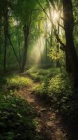 bellissimo raggi di luce del sole nel un' verde foresta. ai generativo foto