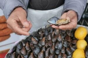 fresco nero conchiglia ricetta su mano foto