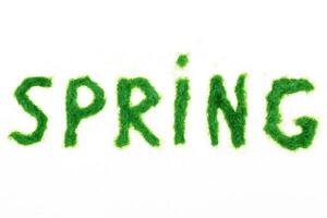 il iscrizione primavera a partire dal decorativo verde erba su un' bianca sfondo. foto