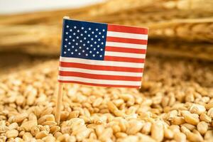 chicchi di grano con bandiera usa america, esportazione commerciale e concetto di economia. foto