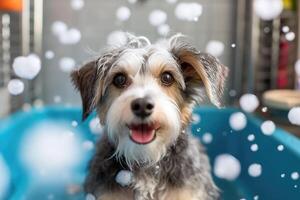 carino cane assunzione bagno con sapone bolle. ai generato foto