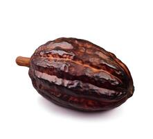 cacao baccello isolato su bianca backgrounds.illustratio. ai generato. foto