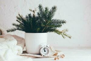 organizzazione di un' festivo Natale tavolo. abete mazzo nel un' vaso, bianca allarme orologio e un' accogliente maglione su un' bianca di legno tavolo. eco-friendly e fatti in casa stile di vita foto