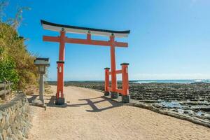 torii cancello di aoshima santuario vicino nichinan costa di Miyazaki, kyushu, Giappone foto