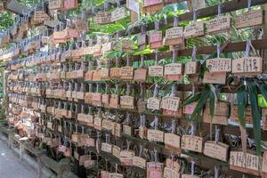 miyazaki, kyushu, giappone - ottobre 21, 2018 aoshima santuario vicino nichinan costa. foto