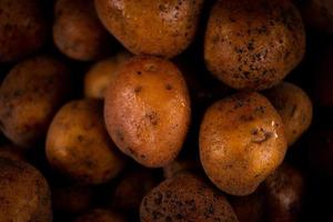 primo piano astratto sfondo testurizzato di patate fresche bagnate foto