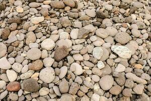 rocce sulla spiaggia foto