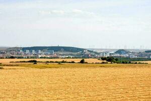 asciutto campo paesaggio foto