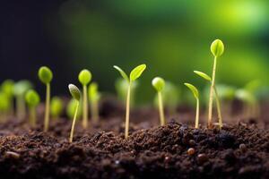 verde germoglio semi iniziato per crescere nel il fertile suolo. generativo ai foto