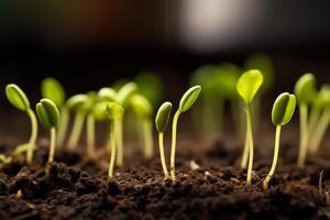 verde germoglio semi iniziato per crescere nel il fertile suolo. generativo ai foto