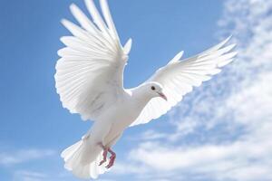 bianca colomba volante nel il blu cielo generativo ai foto