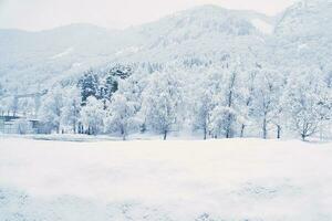 inverno paesaggio nel Scandinavia. con neve coperto alberi su un' montagna. paesaggio foto