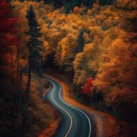 autunno foresta strada. illustrazione ai generativo foto