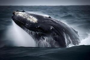 un' massiccio balena saltare su di il oceano con suo corpo metà sopra il superficie. il acqua in giro il balena è scintillante blu e crea un' schiumoso bianca scia dietro a il animale. generativo ai foto