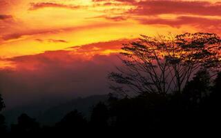 silhouette di foresta e montagna con colorato tramonto foto