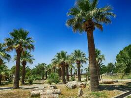 vecchio rovine di il romano terme città di hierapolis su il luogo di il attuale veleno su un' caldo estate soleggiato giorno foto