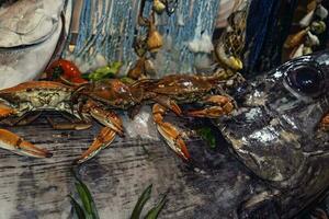 gustoso fresco frutti di mare su Schermo nel un' negozio o ristorante pronto per mangiare foto