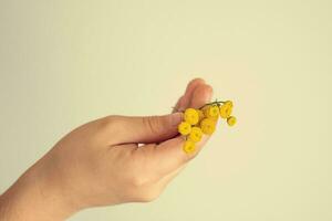 piccolo originale giallo fiore tenuto nel il mano di un' bambino su un' leggero sfondo foto