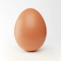 fresco pollo uovo isolato su bianca foto