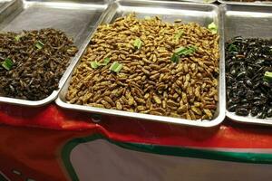 larvie cavalletta bit vario fritte insetti venduto nel Tailandia notte mercato foto