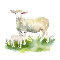 generativo ai contenuto, carino poco agnello e pecora su bianca sfondo acquerello illustrazione foto