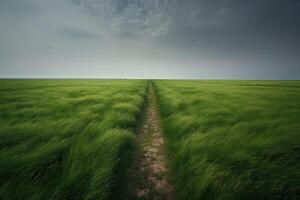 il paesaggio di erba i campi e blu cielo strada principale via in il distanza. generativo ai. foto