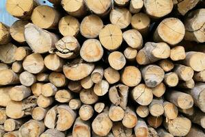 legna lungo legname pila per carbone fabbrica sfondo foto