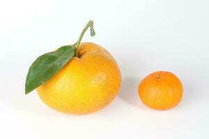 gigante mandarino arancia foto